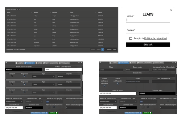 Optimización de Conversión de Leads
